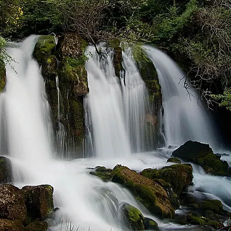Santuari De Paller Pensión Bagá