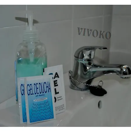 Santuari De Paller Pensión Bagá