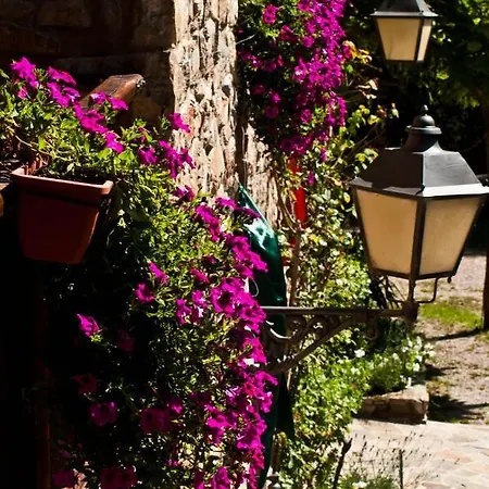 Santuari De Paller * Bagá