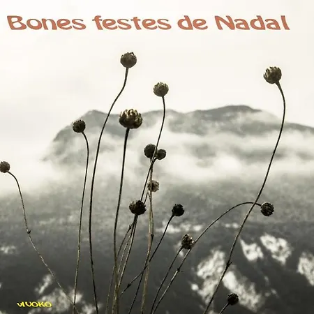 Pensión Santuari De Paller